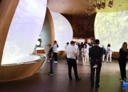 记者手记｜在大阪世博会感受多彩中国